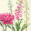 Pink fingstrose  - pack of 2 cocktail