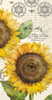 Botanical Sunflowers Cream  - pack of 2 Guest/Dinner napkins