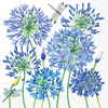 Apaganthus - pack of 2 cocktail napkins