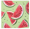 Watermelon - pack of 2 cocktail napkins