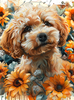 Poodle Fall Sunflowers Peel & Place