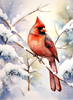 Cardinal with Snow Peel & Place - 4 Different Images - ONLY AVAILABLE ONLINE
