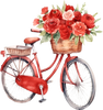 Red Bicycle w/Red Roses Watercolor Peel & Place