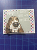 Cards & Camaraderie  June 17th *1pm-3pm*