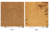 Adrenaline-Flying High-Double-Sided Scrapbook Paper (12x12)