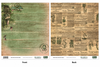 Secret Garden 2-Double-Sided Scrapbook Paper (12x12)