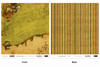 Up and Down-Double-Sided Scrapbook Paper (12x12)