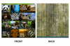 ZooVentures Animals-Double Sided Scrapbook Paper (12x12)