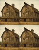 Horse on side of barn