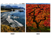Oregon Coastline Double-Sided Scrapbook Paper (12x12)
