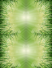 Grass Peel & Place