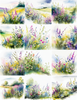 Watercolor Wildflower Meadows 12 up squares Peel & Place
