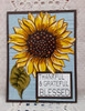 Large Sunflower  4-pc rubber stamp & die set