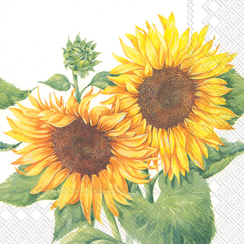 Mirasol Sunflowers  - pack of 2 luncheon napkins