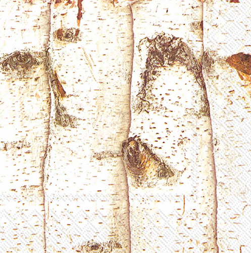 Birch Trees - pack of 2 Luncheon Napkins