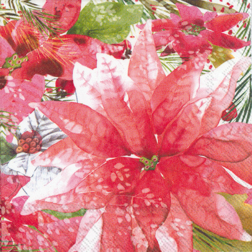 Amaryllis and Poinsettia - pack of 2 cocktail napkins