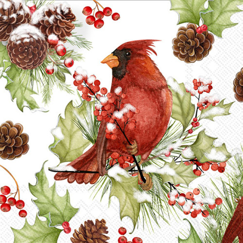 Cardinal in Holly - pack of 2 cocktail napkins