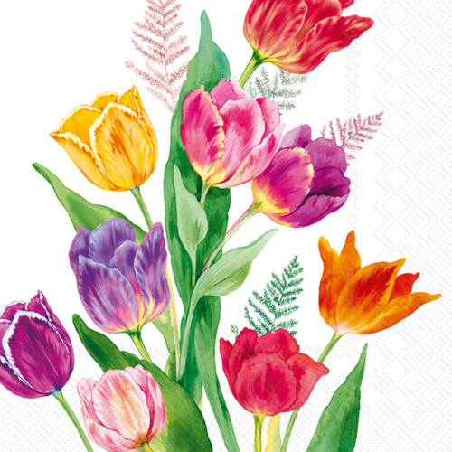 Bright Tulips - pack of 2 cocktail napkins