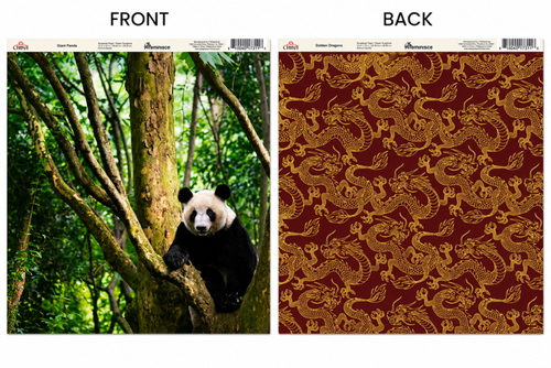 Giant Panda Double Sided Scrapbook Paper (12x12)