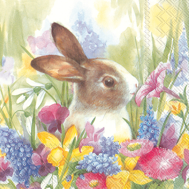 Ruby in the Meadow - pack of 2 cocktail napkins