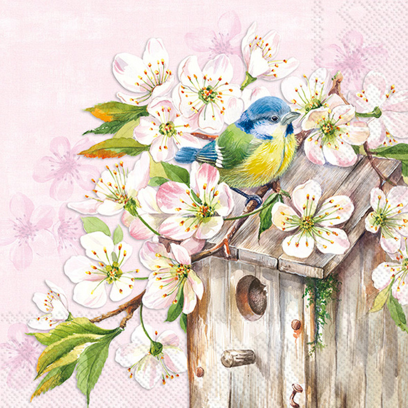 Cherry Blossom Birdhouse - pack of 2 cocktail napkins