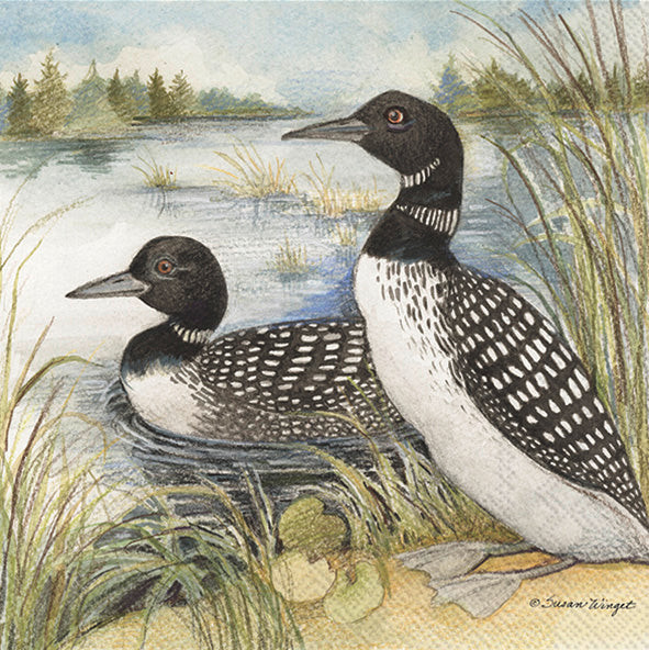 Loons - pack of 2 beverage napkins