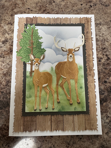 Pointed Corners w/ Straight Edge 8pc Rectangle Designer Die