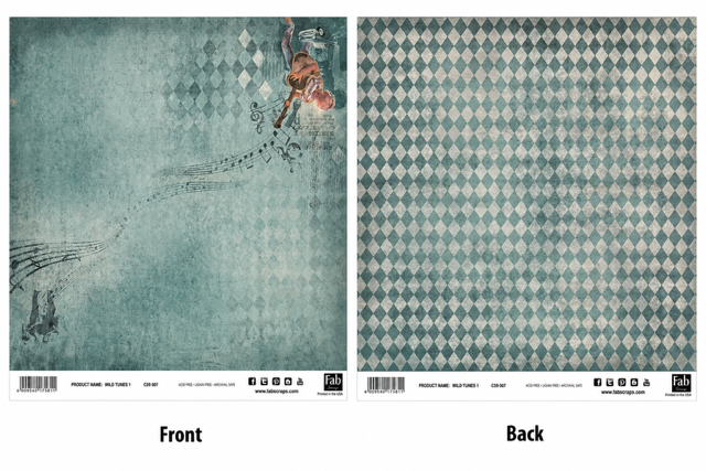 Wild Tunes 1-Double-Sided Scrapbook Paper (12x12)