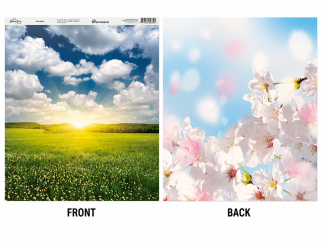 Spring Day Double-Sided Scrapbook Paper (12x12)