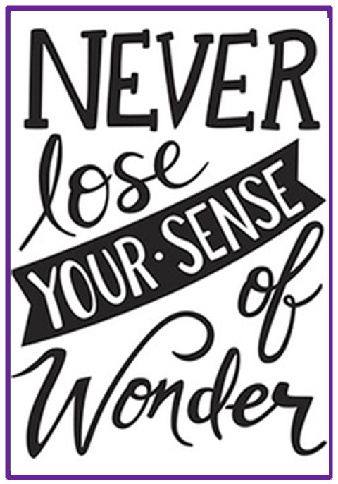Never lose your sense of Wonder embossing folder