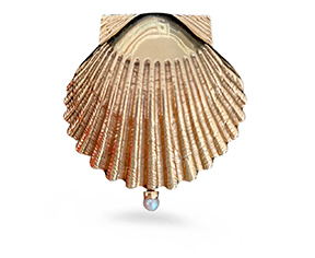 shell-pocket-watch-xs-top.jpg