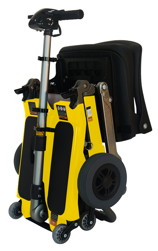 Luggie Standard Scooter