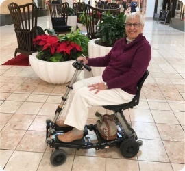 Luggie owner seated on her scooter beside planters in a shopping mall