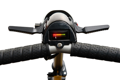 Luggie Super Scooter