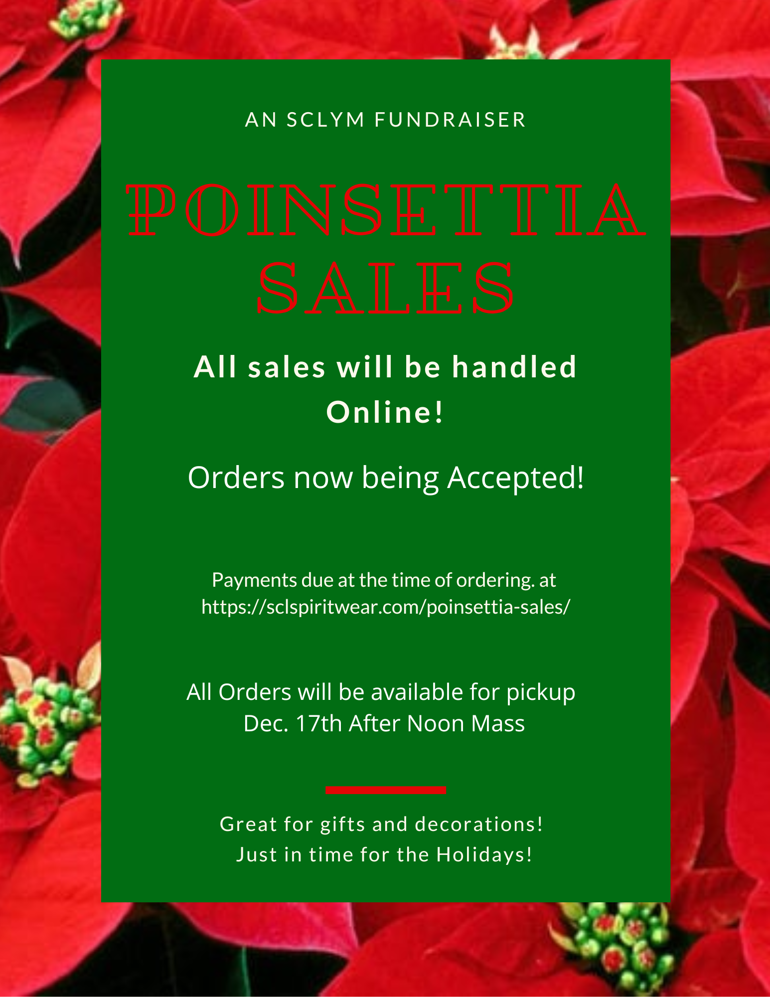 sclym-poinsettia-sales-3-.png