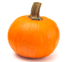 Pie Pumpkin