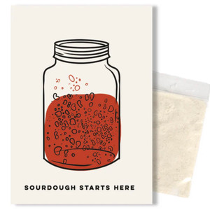Sourdough Starter