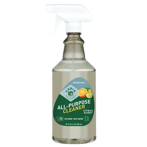 Citrus All-Purpose Cleaner - 32 fl oz