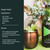 Social Elixir - 500ml Social Elixir - 500ml