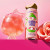 Pre and Probiotic Sparkling Drink - Gauva Rose - 12oz Pre and Probiotic Sparkling Drink - Gauva Rose - 12oz