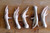 Chicken Feet - 1lb Ave