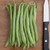 Provider Bush Bean Seeds - 1 OZ Provider Bush Bean Seeds - 1 OZ