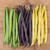 Mardi Gras Bean Blend Seeds - 1 OZ Mardi Gras Bean Blend Seeds - 1 OZ