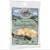 Natural White Cheddar Cheese Curds - 5oz