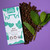 Mint Mocha Dark Milk Chocolate Bar - 2oz