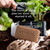 Pine Tar Soap Bar - 4.25oz