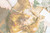 Holiday Meal For a Neighbor In Need - Tax Deductible Donation