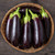 Diamond Eggplant Seeds - 1/64oz