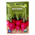 Sora Radish - 100 SEEDS