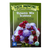 Dynamic Mix Scabiosa- 50 SEEDS